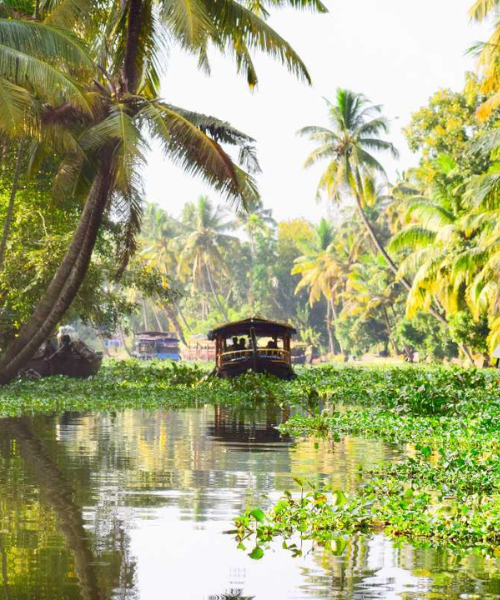 Alleppey (Alappuzha)