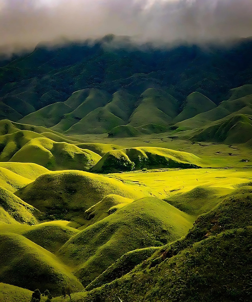 Dzukou Valley (Nagaland)