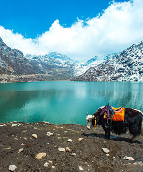 Gangtok (Sikkim)