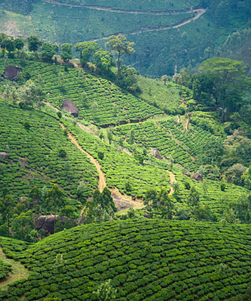 Ooty (Udhagamandalam)