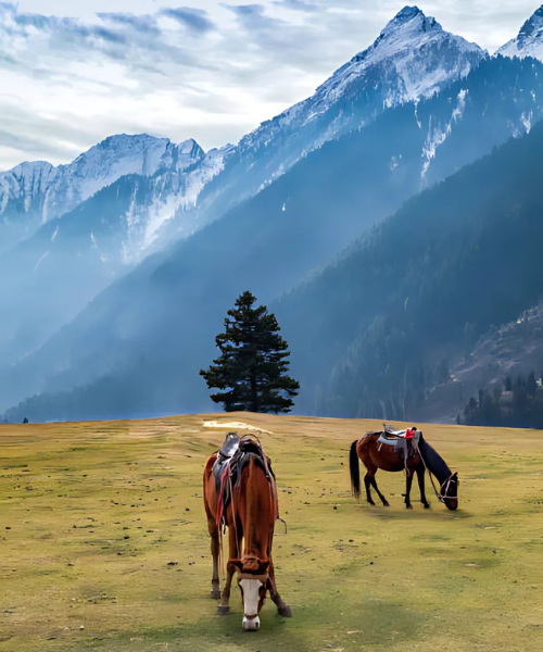 Pahalgam