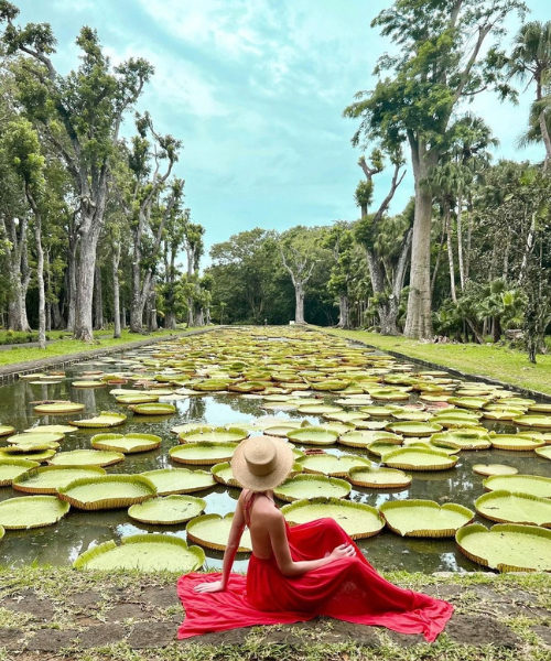 Pamplemousses Botanical Garden
