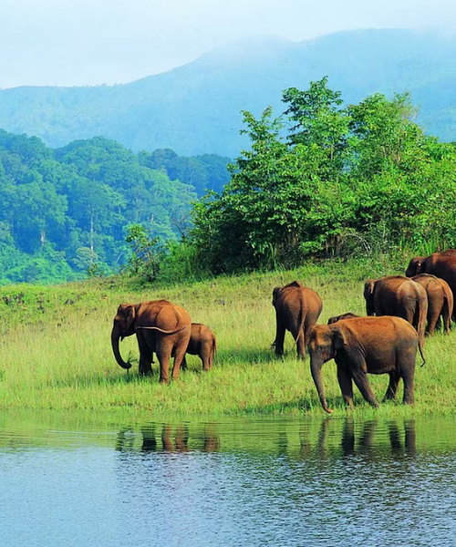 Thekkady