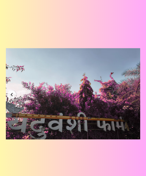 Yaduvanshi Farms 🌿